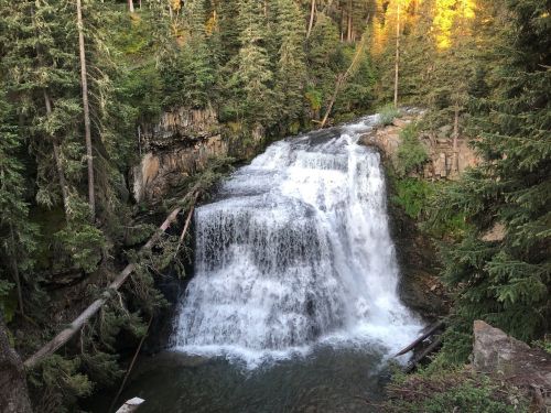 A serene waterfall cascades over rocks, surrounded by lush green trees in a tranquil forest setting.