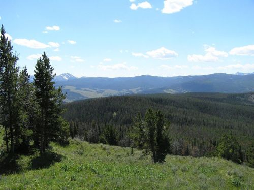 A scenic view of rolling green hills and mountains under a blue sky with fluffy clouds, surrounded by trees.