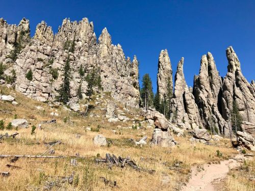 Rocky spires rise against a clear blue sky, surrounded by dry grass and sparse trees in a rugged landscape.