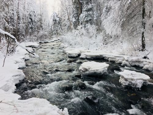 A serene winter scene of a flowing river surrounded by snow-covered trees and ice formations.