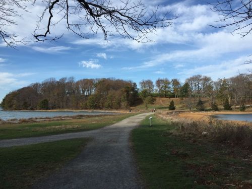 A scenic path by a lake, surrounded by trees and grassy areas, under a blue sky with scattered clouds.