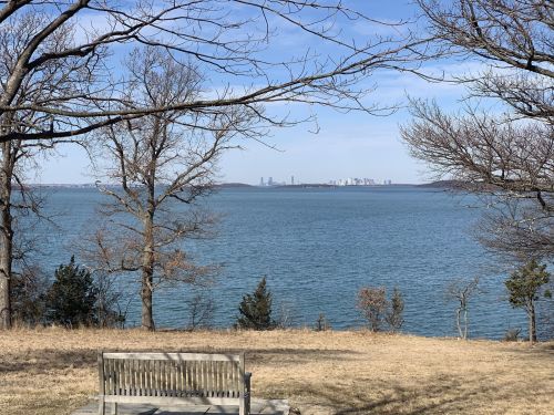 A serene view of a lake with a distant city skyline, framed by bare trees and a wooden bench in the foreground.