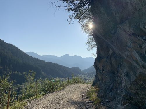 A scenic mountain trail with sunlight peeking through trees, surrounded by lush greenery and distant peaks.