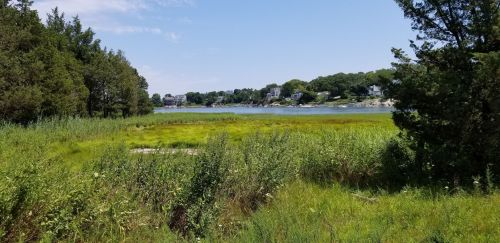A serene landscape featuring a calm waterway surrounded by lush greenery and distant houses under a clear blue sky.
