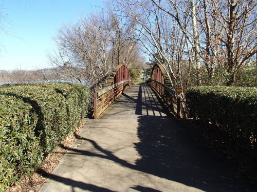 A wooden bridge over a path surrounded by trees and shrubs, leading towards a body of water in the distance.