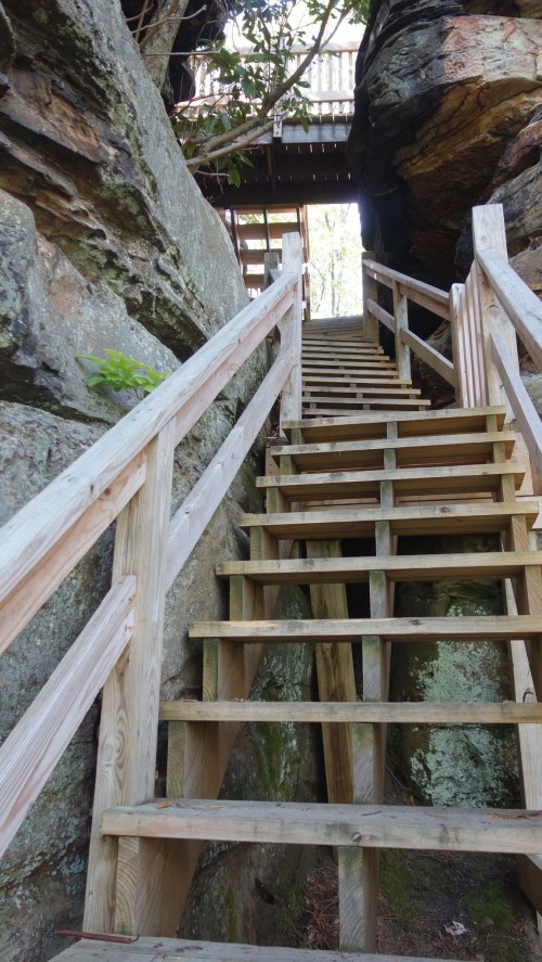 Wooden stairs lead upward through rocky terrain, surrounded by greenery and natural rock formations.
