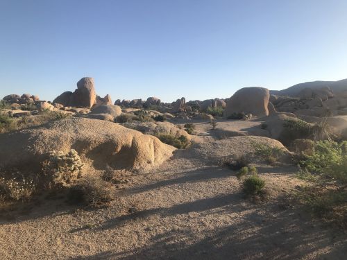 A desert landscape with large rock formations and sparse vegetation under a clear blue sky.