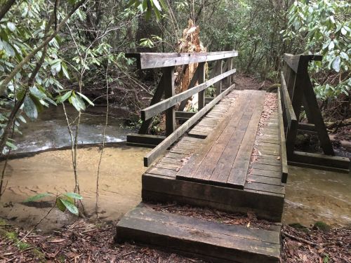 A wooden bridge over a shallow stream, surrounded by dense greenery and trees in a forested area.