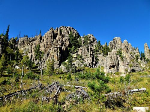 Rocky cliffs rise against a clear blue sky, surrounded by green trees and scattered fallen logs in a natural landscape.