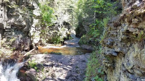 A serene forest scene featuring a narrow stream flowing between rocky cliffs, surrounded by lush greenery.