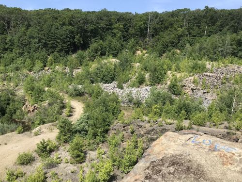 A rocky landscape with lush greenery, featuring a winding path and a stone wall in the background under a clear blue sky.
