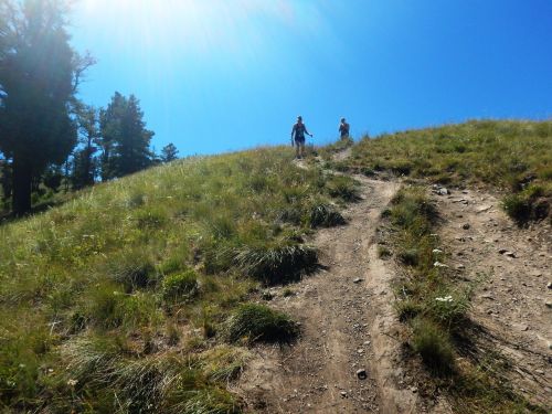 Two hikers ascend a grassy hill under a bright blue sky, surrounded by trees and sunlight.