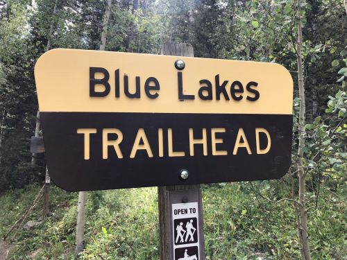 Sign for Blue Lakes Trailhead surrounded by trees, indicating the start of a hiking trail.