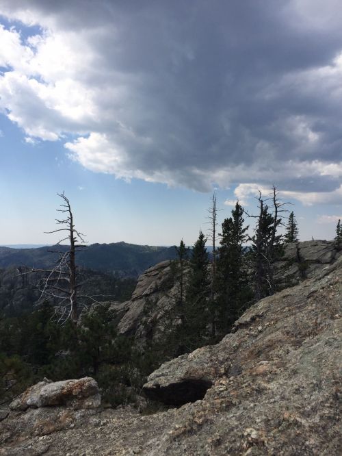 A rocky landscape with sparse trees under a cloudy sky, showcasing distant mountains in the background.