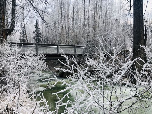 A snowy landscape featuring a bridge over a flowing river, surrounded by frosted trees and icy branches.