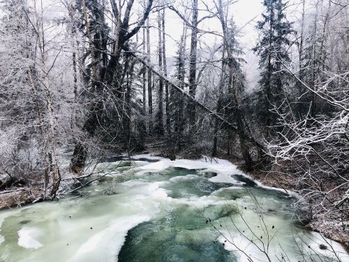 A serene winter scene featuring a partially frozen river surrounded by frosty trees and a misty atmosphere.