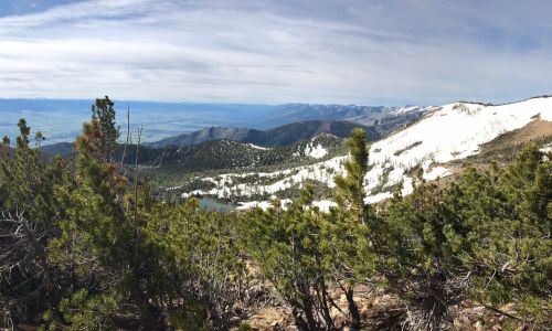 A panoramic view of snow-capped mountains and green shrubs under a cloudy sky, showcasing a serene natural landscape.