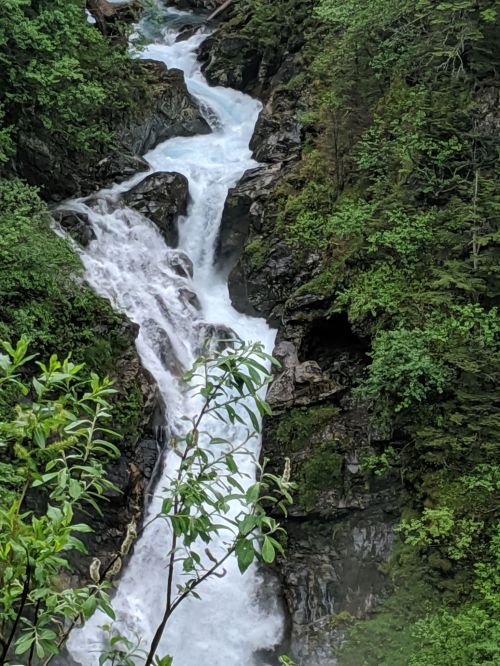 A cascading waterfall flows through a lush green landscape, surrounded by rocks and dense foliage.