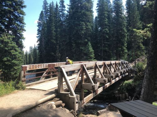 A wooden bridge spans a river in a forest, with a person walking across surrounded by tall trees and sunlight.