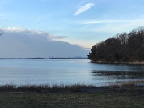 A serene lakeside view with distant city skyline, trees lining the shore, and a calm water surface under a cloudy sky.