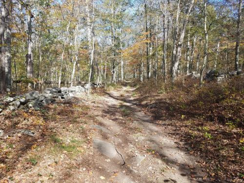 A dirt path winds through a forest with autumn foliage and stone walls on either side.