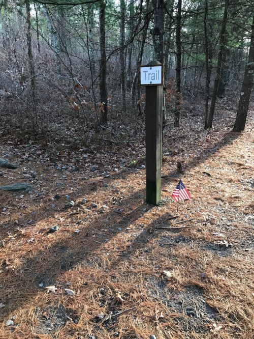 A wooden trail sign stands among pine needles and trees, with a small American flag nearby.