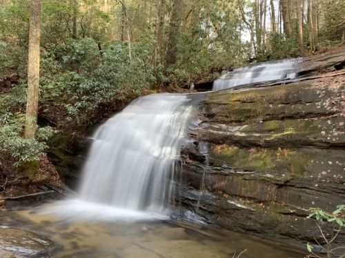 A serene waterfall cascades over smooth rocks, surrounded by lush greenery and tall trees in a tranquil forest setting.