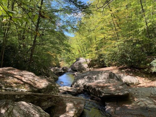 A serene river flows through a rocky landscape, surrounded by lush green trees under a clear blue sky.