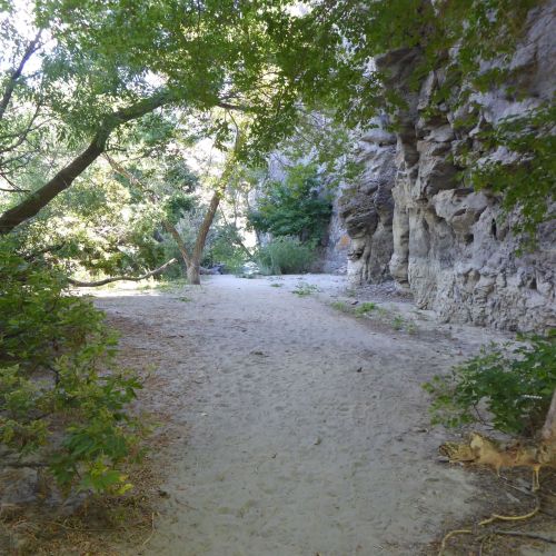 A sandy path surrounded by trees and rocky cliffs, leading into a serene natural area.