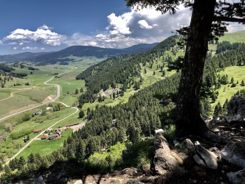 A scenic view of rolling green hills and mountains under a partly cloudy sky, framed by a tree in the foreground.