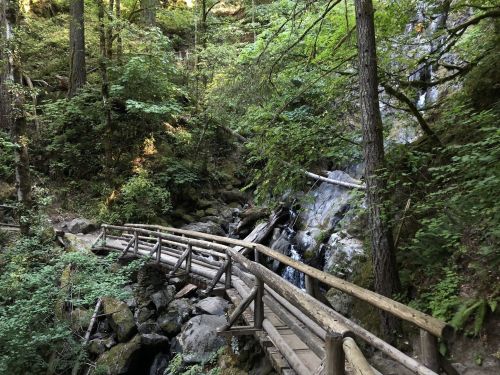A wooden bridge winds through a lush forest with a small waterfall and rocky terrain in the background.