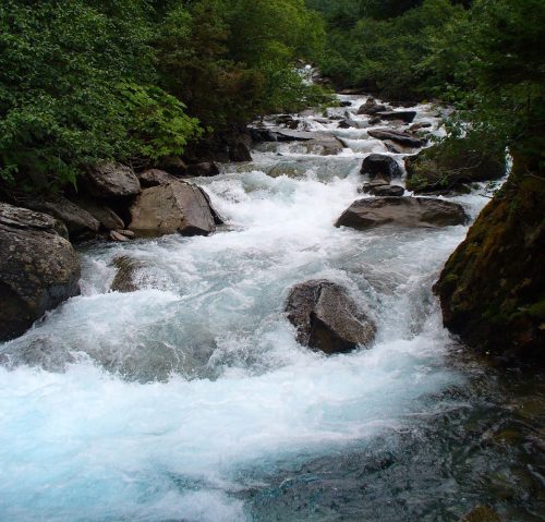 A rushing river flows over rocks, surrounded by lush greenery and mountains under a cloudy sky.