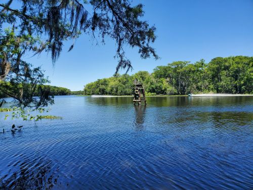 A serene river scene with lush greenery, a clear blue sky, and an old wooden structure reflected in the water.