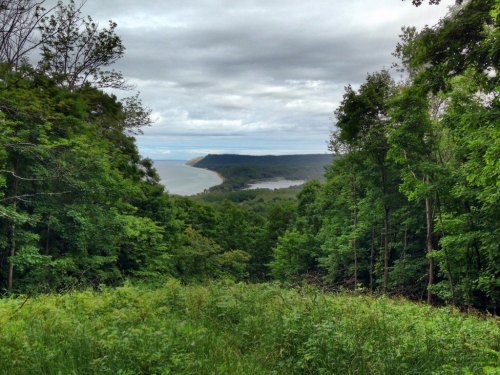 A scenic view of a lush green forest overlooking a calm bay and distant hills under a cloudy sky.