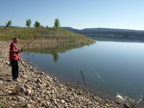 A person fishing by a calm lake, surrounded by trees and rocky shoreline under a clear blue sky.