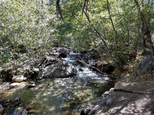 A serene stream flows through a wooded area, surrounded by rocks and lush greenery. Sunlight filters through the trees.