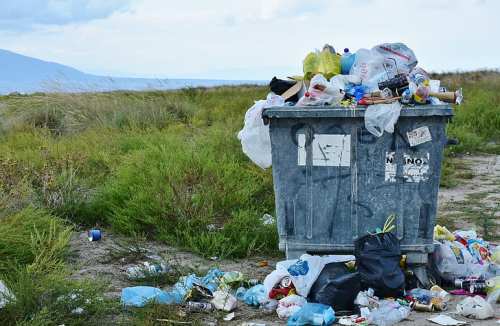 A overflowing dumpster surrounded by scattered trash and greenery, with a cloudy sky in the background.