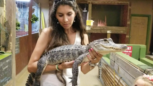 A woman holds a small alligator in a petting zoo, with a child visible in the background.