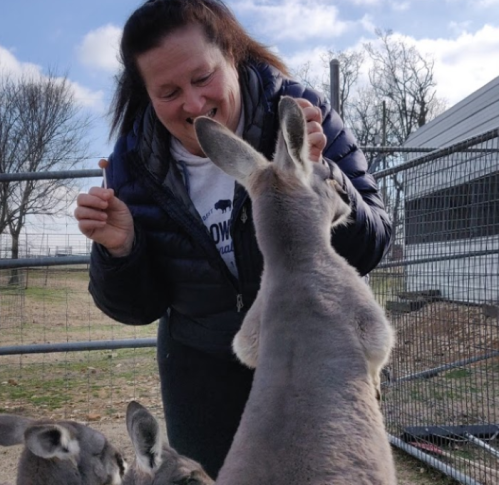 A woman smiles while interacting with a kangaroo in a fenced area, with another kangaroo nearby.