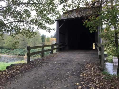 A covered bridge with a wooden walkway, surrounded by trees and autumn leaves, leading to a dark interior.