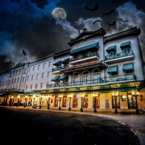 A historic hotel at night, with a full moon and bats flying in a cloudy sky. The building features green awnings and lights.