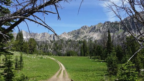 A dirt path winds through a green meadow, framed by trees, with mountains rising in the background under a clear blue sky.