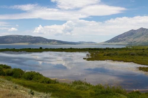 A serene landscape featuring a calm lake surrounded by green vegetation and mountains under a blue sky with clouds.