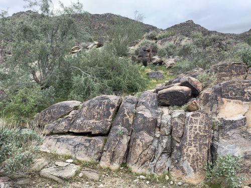 Rocky terrain with large boulders and sparse vegetation, set against a backdrop of rugged hills under a cloudy sky.