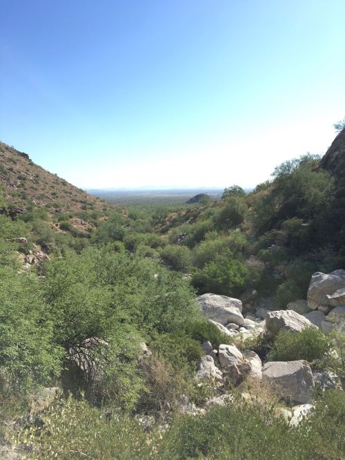 A scenic view of a lush green valley surrounded by rocky hills under a clear blue sky.