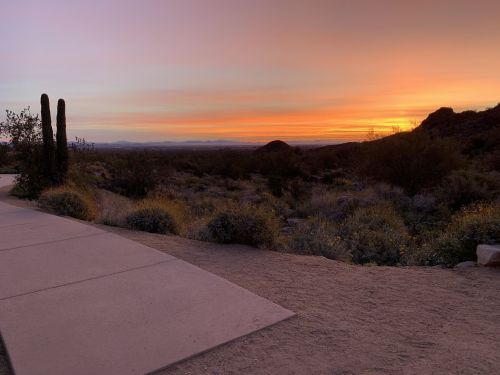 A serene desert landscape at sunset, featuring a pathway, cacti, and colorful sky with soft clouds.