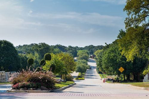 A scenic view of a tree-lined road with lush greenery and colorful flowers in the foreground under a clear blue sky.