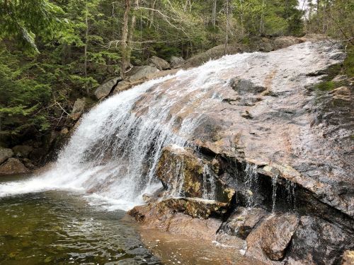 A cascading waterfall flows over a rocky surface, surrounded by lush green trees and a serene pool below.