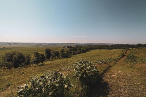 A scenic view of rolling green hills under a clear blue sky, with a path winding through lush vegetation.