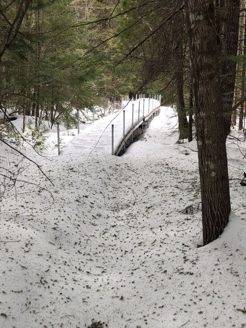 A snow-covered wooden bridge surrounded by trees in a winter forest.
